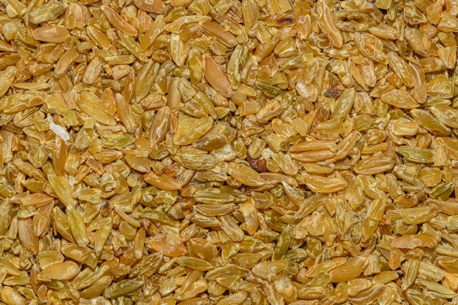 Cooked freekeh