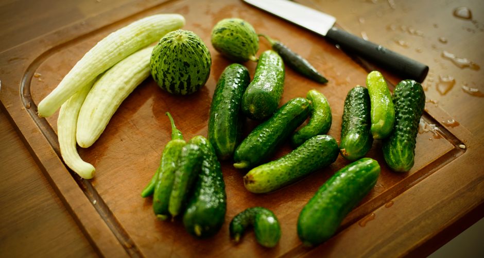 Cucumber