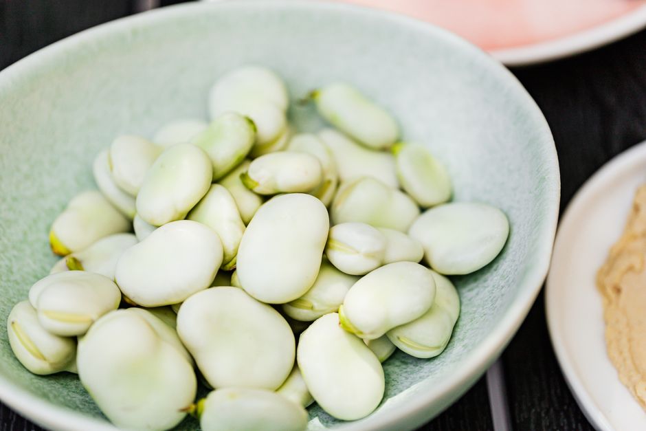 Fava Beans (fresh, boiled)