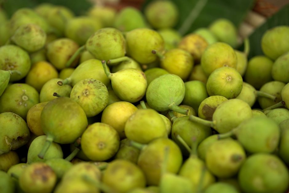 Fresh Figs