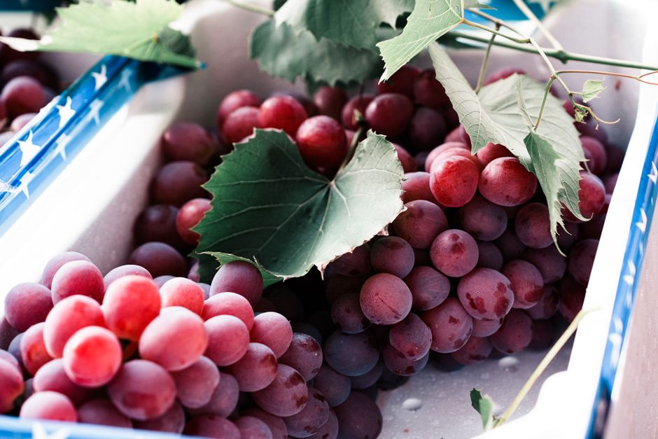 Grapes (fresh)