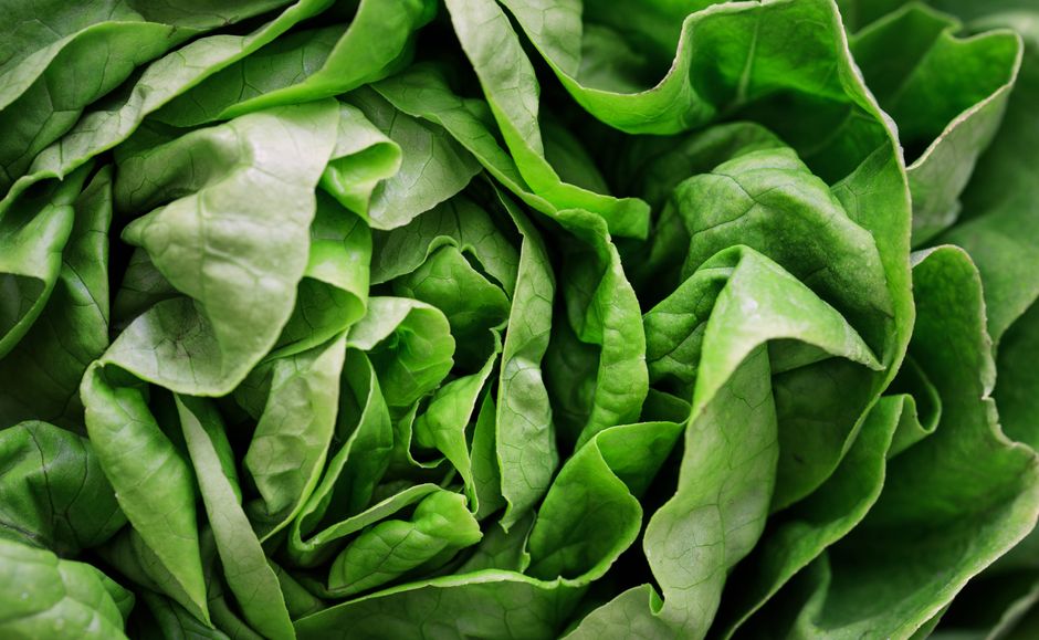 Green salad