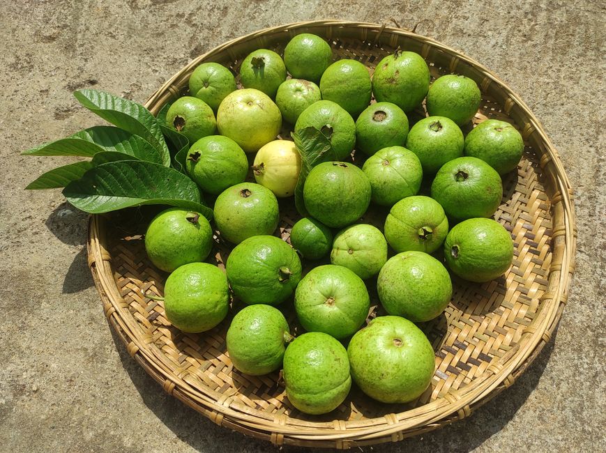 Guava