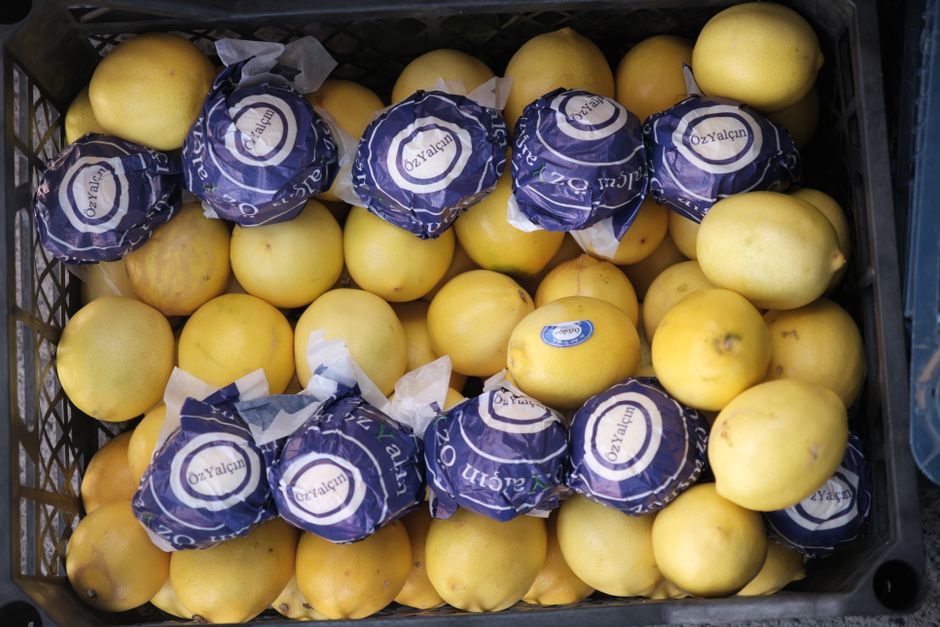 Lemon