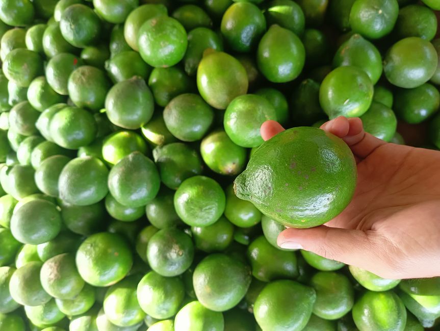Lime