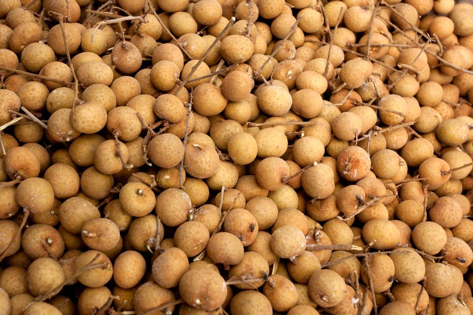 Longan