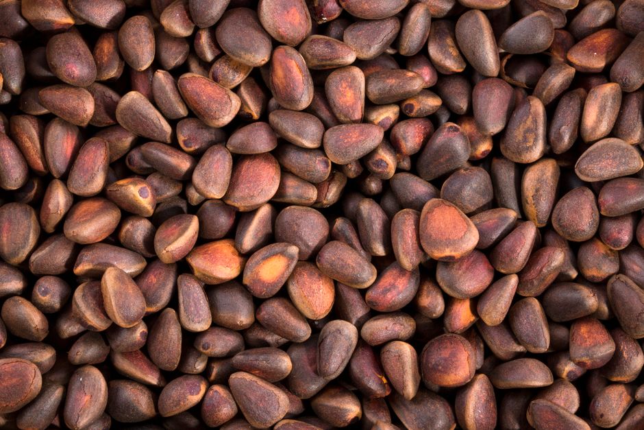 Pine nuts