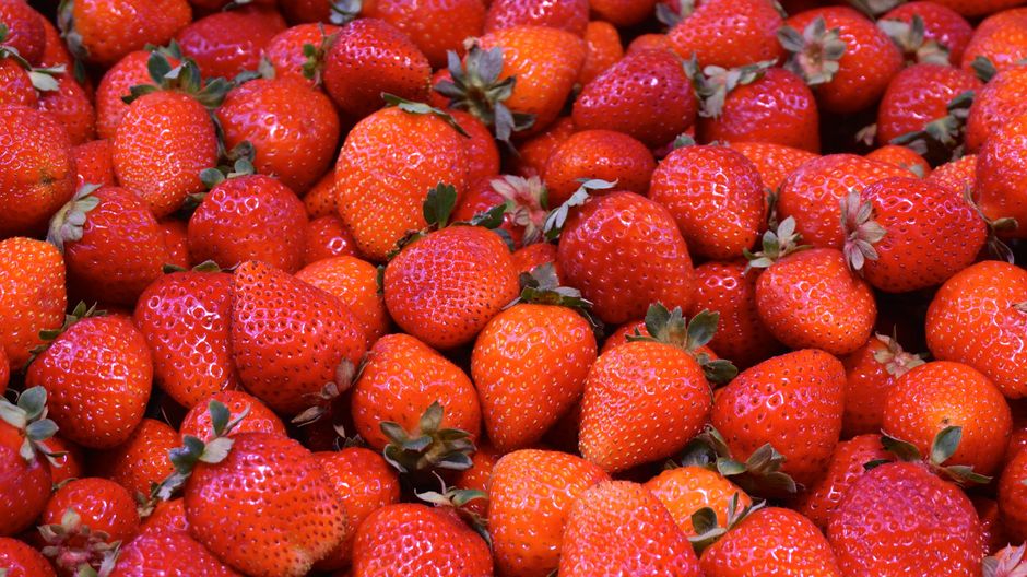 Strawberries (fresh)
