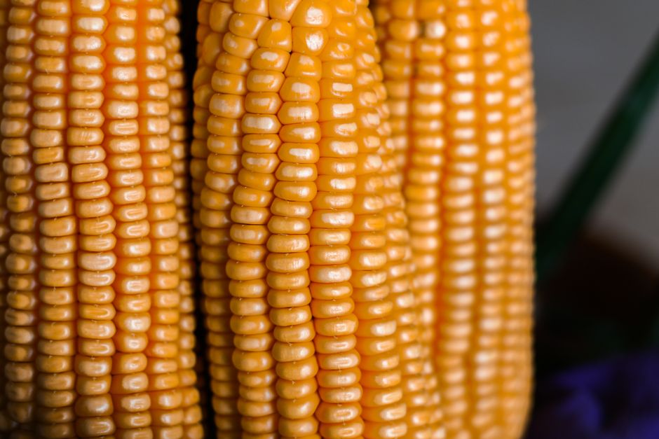 Sweet corn (canned, drained)