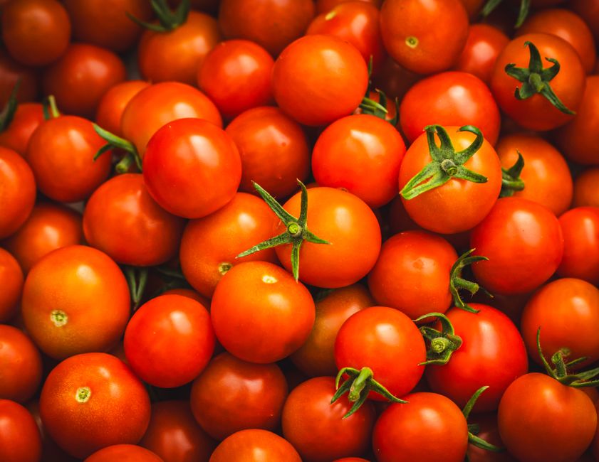 Tomato