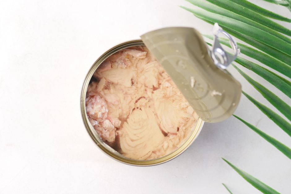 Tuna in Water