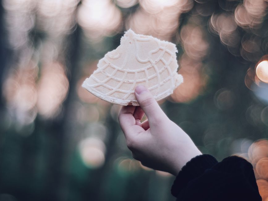 Wafer plain